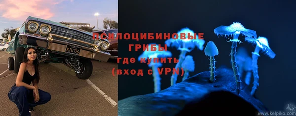 прущие крисы Алзамай