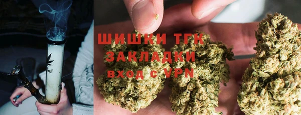 прущие крисы Алзамай