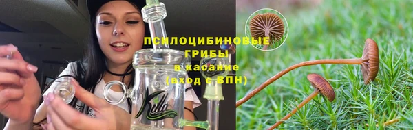 прущие крисы Алзамай