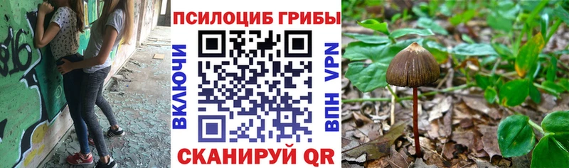 гидра зеркало Сельцо Псилоцибиновые грибы GOLDEN TEACHER